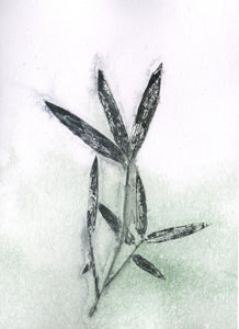 Foldekort med botanisk kunsttryk.