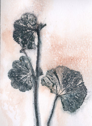 Foldekort med botanisk kunsttryk.