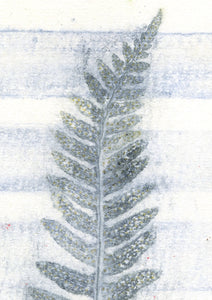 Original botanisk kunsttryk af bregne i blå toner. 21x29,7 cm.