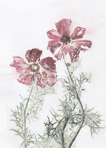 #9 Postkort  Botanisk kunsttryk