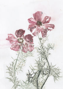 #9 Postkort  Botanisk kunsttryk