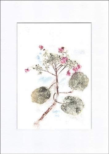 Original botanisk kunsttryk af hortensia i grøn, blå og pink toner. 29,7x42 cm.
