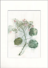 Indlæs billede til gallerivisning Original botanisk kunsttryk af hortensia i grøn, blå og pink toner. 29,7x42 cm.