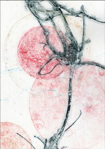 Original botanisk kunsttryk af klematis. Blå og pink toner. 29,7x42 cm.