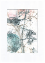 Indlæs billede til gallerivisning Original botanisk kunsttryk af klematis. Blå, brune og rosa toner. 29,7x42 cm.