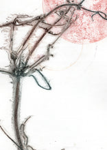 Indlæs billede til gallerivisning Original botanisk kunsttryk af klematis. Blå og rosa toner. 29,7x42 cm.