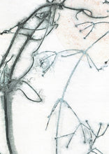 Indlæs billede til gallerivisning Original botanisk kunsttryk af klematis. Blå og gule toner. 29,7x42 cm.