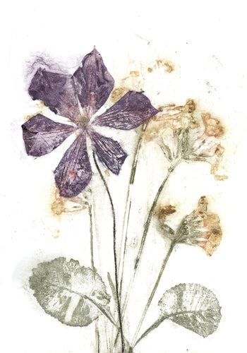 #11 Postkort  Botanisk kunsttryk