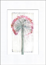 Indlæs billede til gallerivisning Original botanisk kunsttryk af prydløg i pink og grå toner. 21x29,7 cm.