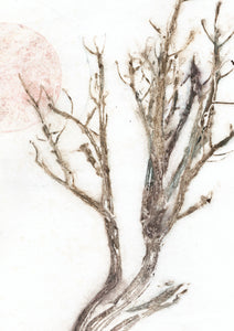 Original botanisk kunsttryk af hortensia i sorte og blå toner. 42x59,4 cm.
