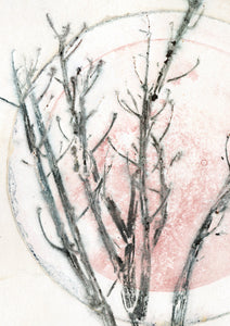 Original botanisk kunsttryk af gren. Grå og rosa toner. 29,7x42 cm.