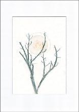 Indlæs billede til gallerivisning Original botanisk kunsttryk af gren. Blå og gule toner. 29,7x42 cm.
