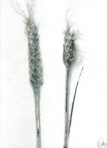 Foldekort med dobbelt botanisk kunsttryk.