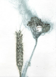Foldekort med dobbelt botanisk kunsttryk.