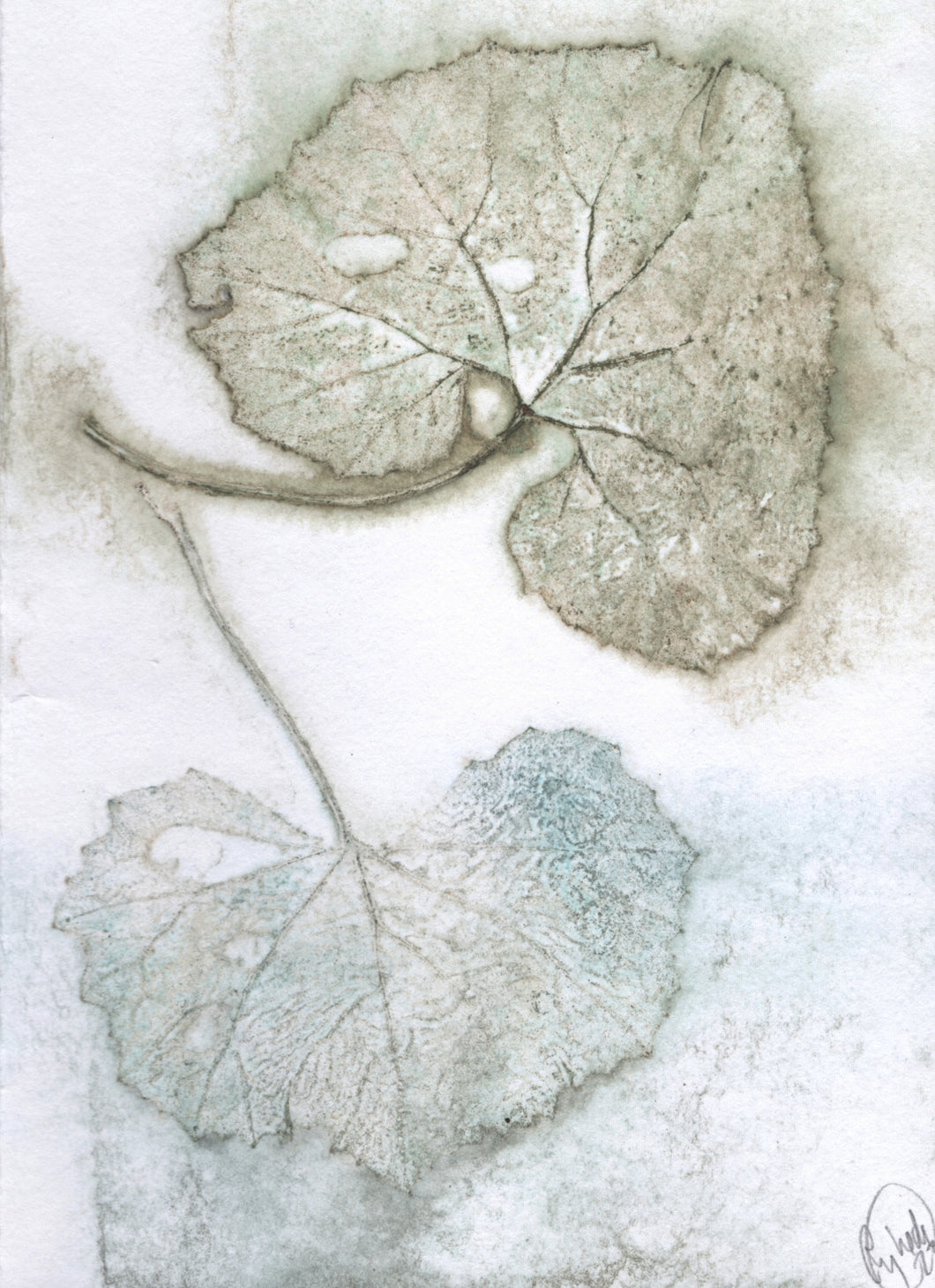 Foldekort med dobbelt botanisk kunsttryk.