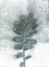 Indlæs billede til gallerivisning Foldekort med dobbelt botanisk kunsttryk.
