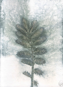 Foldekort med dobbelt botanisk kunsttryk.