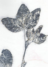 Indlæs billede til gallerivisning Foldekort med dobbelt botanisk kunsttryk.
