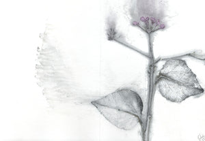 Foldekort med botanisk kunsttryk.