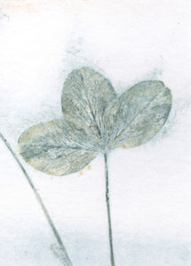 Foldekort med dobbelt botanisk kunsttryk.