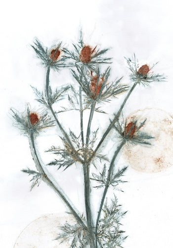 #5 Plakat A4 Botanisk kunsttryk - Mandstro