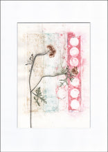 Indlæs billede til gallerivisning Original botanisk kunsttryk af spinkel plante. Pink, lyseblå og grønne toner. 29,7x42 cm.