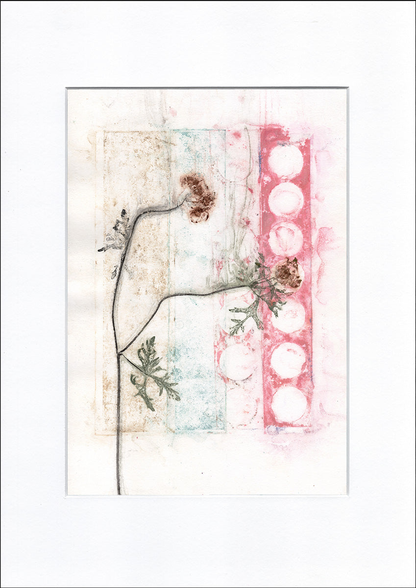 Original botanisk kunsttryk af spinkel plante. Pink, lyseblå og grønne toner. 29,7x42 cm.