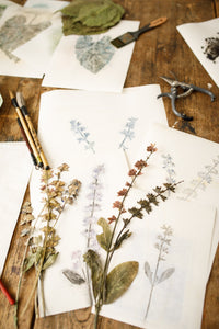 Workshop 4. november 2023 i botanisk kunsttryk.