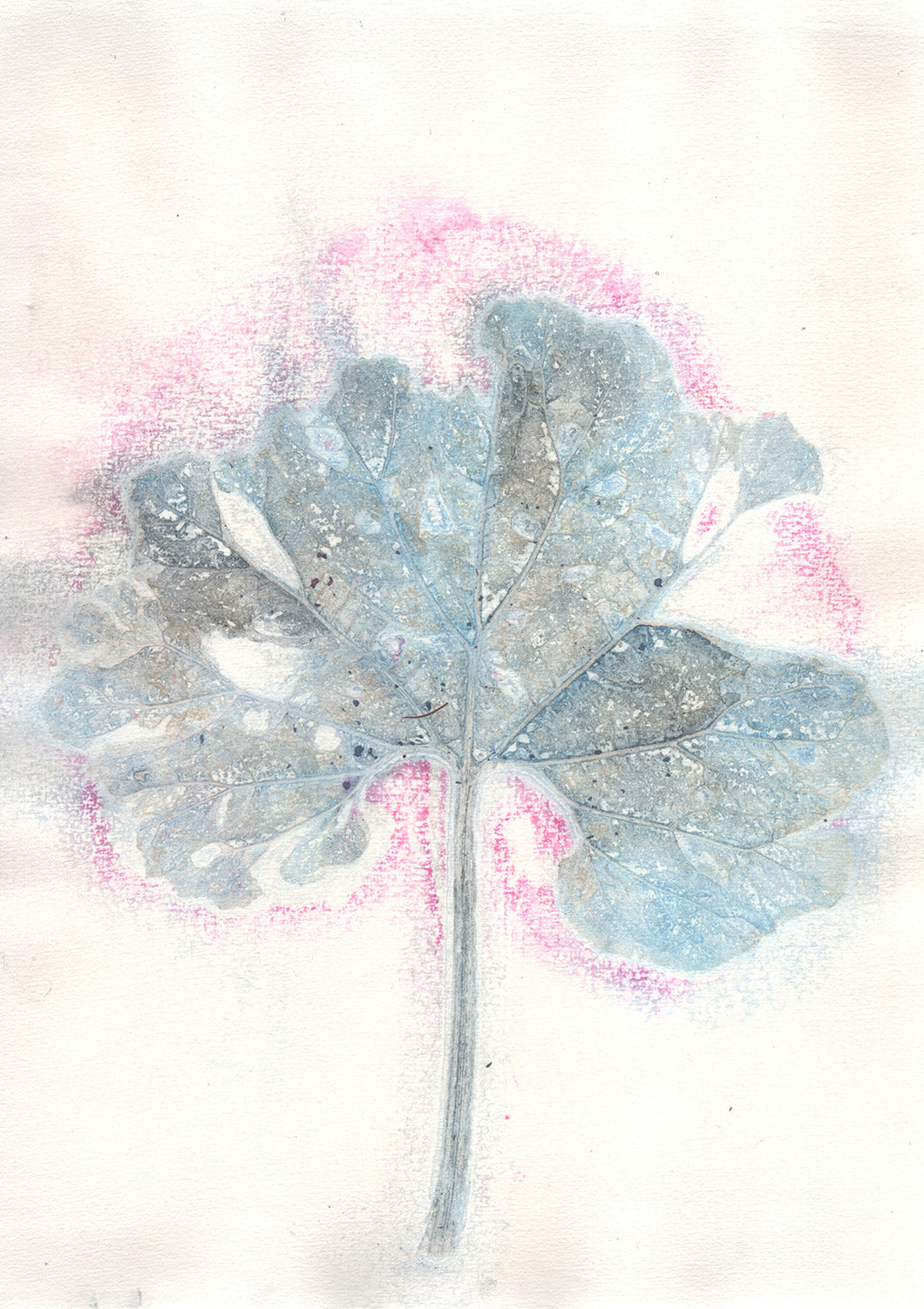 Original botanisk kunsttryk af blad i turkis og pink toner. 29,7x42 cm.