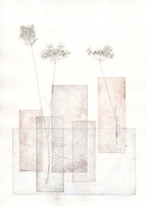 Original botanisk kunsttryk af blomster i vaser i støvet toner. 29,7x42 cm.