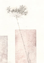 Indlæs billede til gallerivisning Original botanisk kunsttryk af blomster i vaser i støvet toner. 29,7x42 cm.