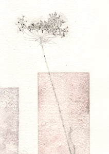 Original botanisk kunsttryk af blomster i vaser i støvet toner. 29,7x42 cm.