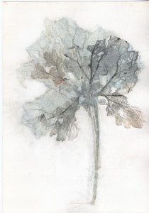 Original botanisk kunsttryk af blad i grønne toner. 21x29,7 cm.