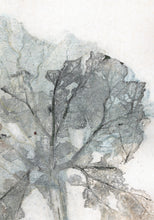 Indlæs billede til gallerivisning Original botanisk kunsttryk af blad i grønne toner. 21x29,7 cm.