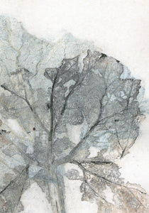 Original botanisk kunsttryk af blad i grønne toner. 21x29,7 cm.