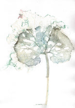 Indlæs billede til gallerivisning Original botanisk kunsttryk af blad i grønne toner. 21x29,7 cm.