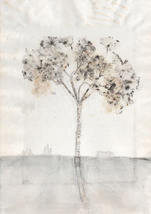 Original botanisk kunsttryk af hortensia grå og lyseblå toner. 21x29,7 cm.