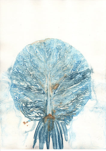 Original botanisk kunsttryk af spidskålblad i turkise toner. 29,7x42 cm.