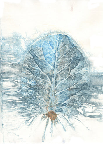 Original botanisk kunsttryk af spidskålblad i turkise toner. 29,7x42 cm.