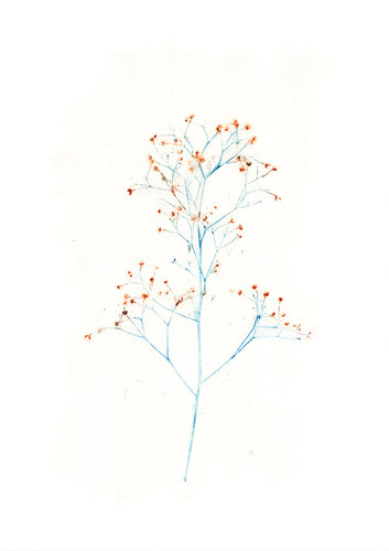 Original botanisk kunsttryk af spinkel plante i turkis og orange toner. 26,5x36 cm.