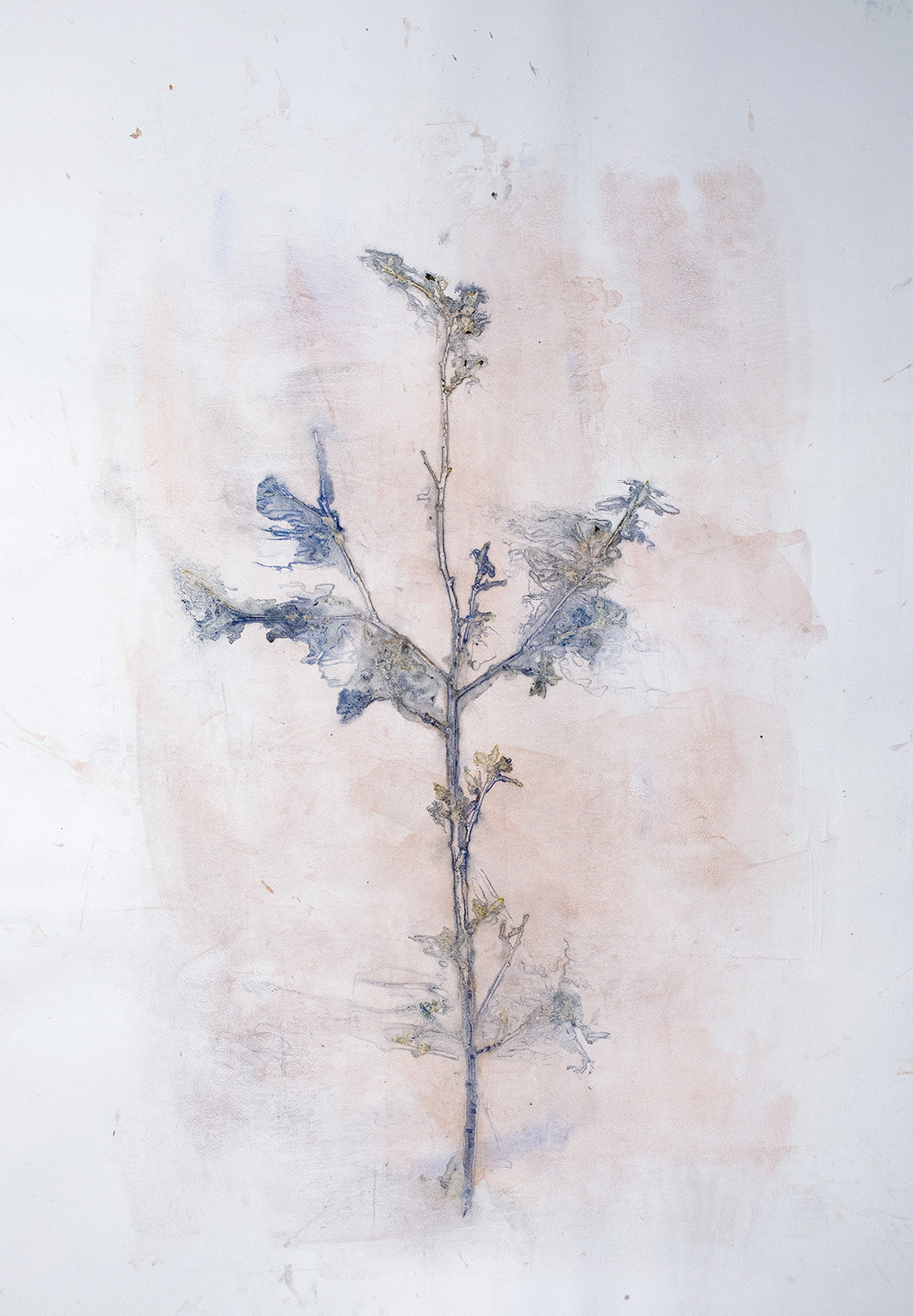 Original botanisk kunsttryk af gren i rosa, blå og grå toner. 70x100 cm.