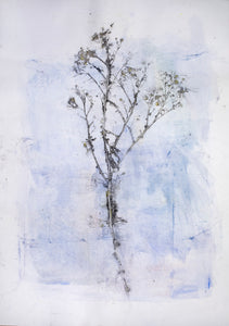 Original botanisk kunsttryk af i blå toner med sort kæmpe gren. 70x100 cm.