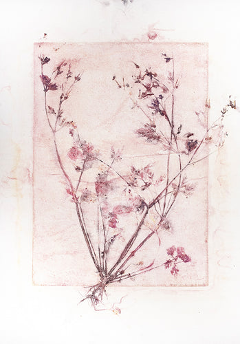 Original botanisk kunsttryk af grene med rødder i rosa og brune toner. 42x59,4 cm.