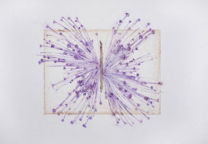 Original botanisk kunsttryk af prydløg i lilla og okker toner. 42x59,4 cm.