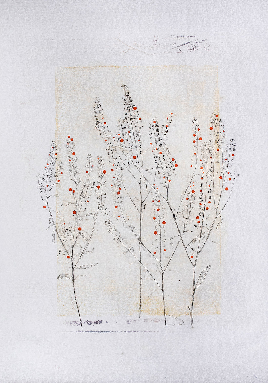 Original botanisk kunsttryk af grene i okker, sort og røde toner