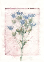 Indlæs billede til gallerivisning Original botanisk kunsttryk af tidsel rosa, blå og grønne toner. 42 x 59,4 cm.