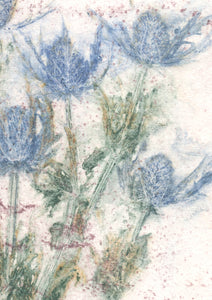 Original botanisk kunsttryk af tidsel i rosa, blå og grønne toner. 42x59,4 cm.