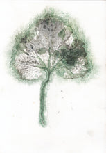 Indlæs billede til gallerivisning Original botanisk kunsttryk af blad i grønne og grå toner. 21x29,7 cm.