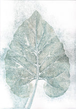Indlæs billede til gallerivisning Original botanisk kunsttryk af blad i grønne toner. 21x29,7 cm.