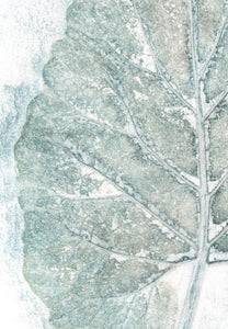 Original botanisk kunsttryk af blad i grønne toner. 21x29,7 cm.